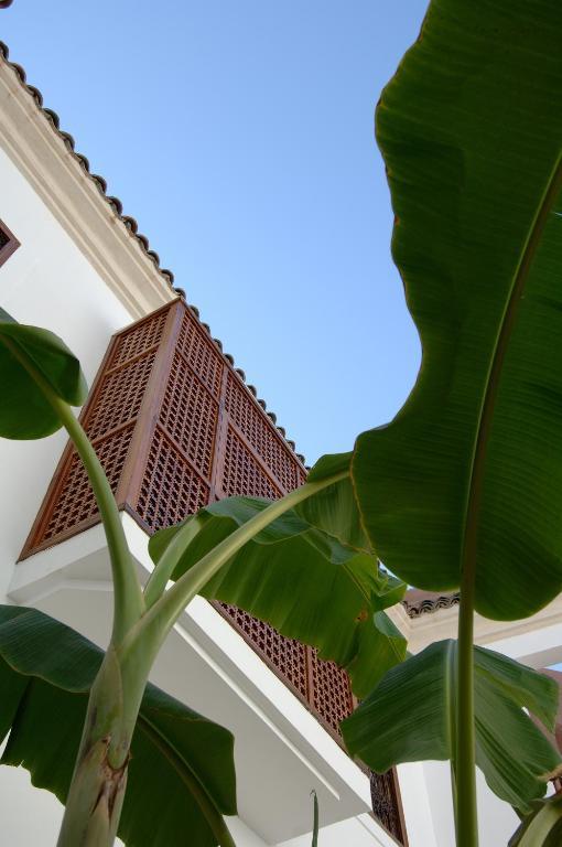Riad Up Marrakesh Esterno foto
